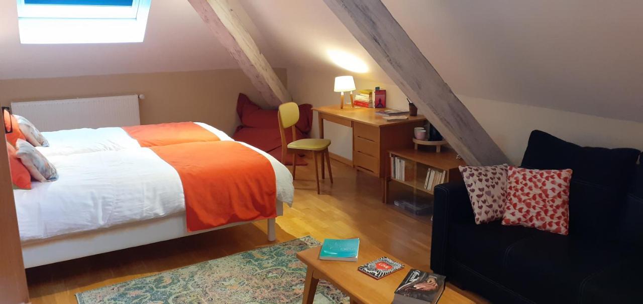 La Chouette Maison - Chambres D'Hotes Et Gite En Ville Remiremont Dış mekan fotoğraf