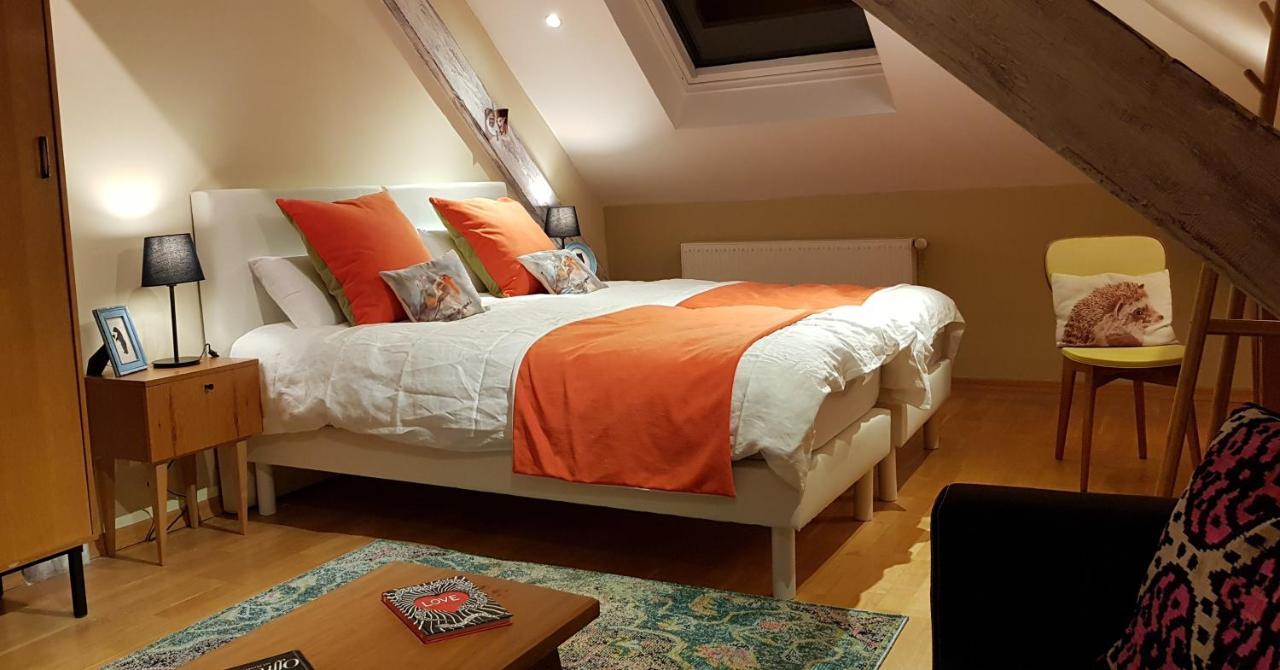 La Chouette Maison - Chambres D'Hotes Et Gite En Ville Remiremont Dış mekan fotoğraf