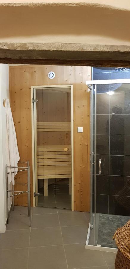 La Chouette Maison - Chambres D'Hotes Et Gite En Ville Remiremont Dış mekan fotoğraf
