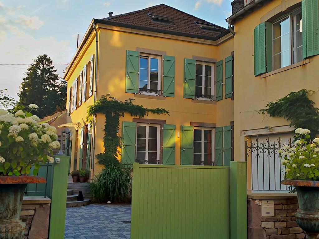 La Chouette Maison - Chambres D'Hotes Et Gite En Ville Remiremont Dış mekan fotoğraf