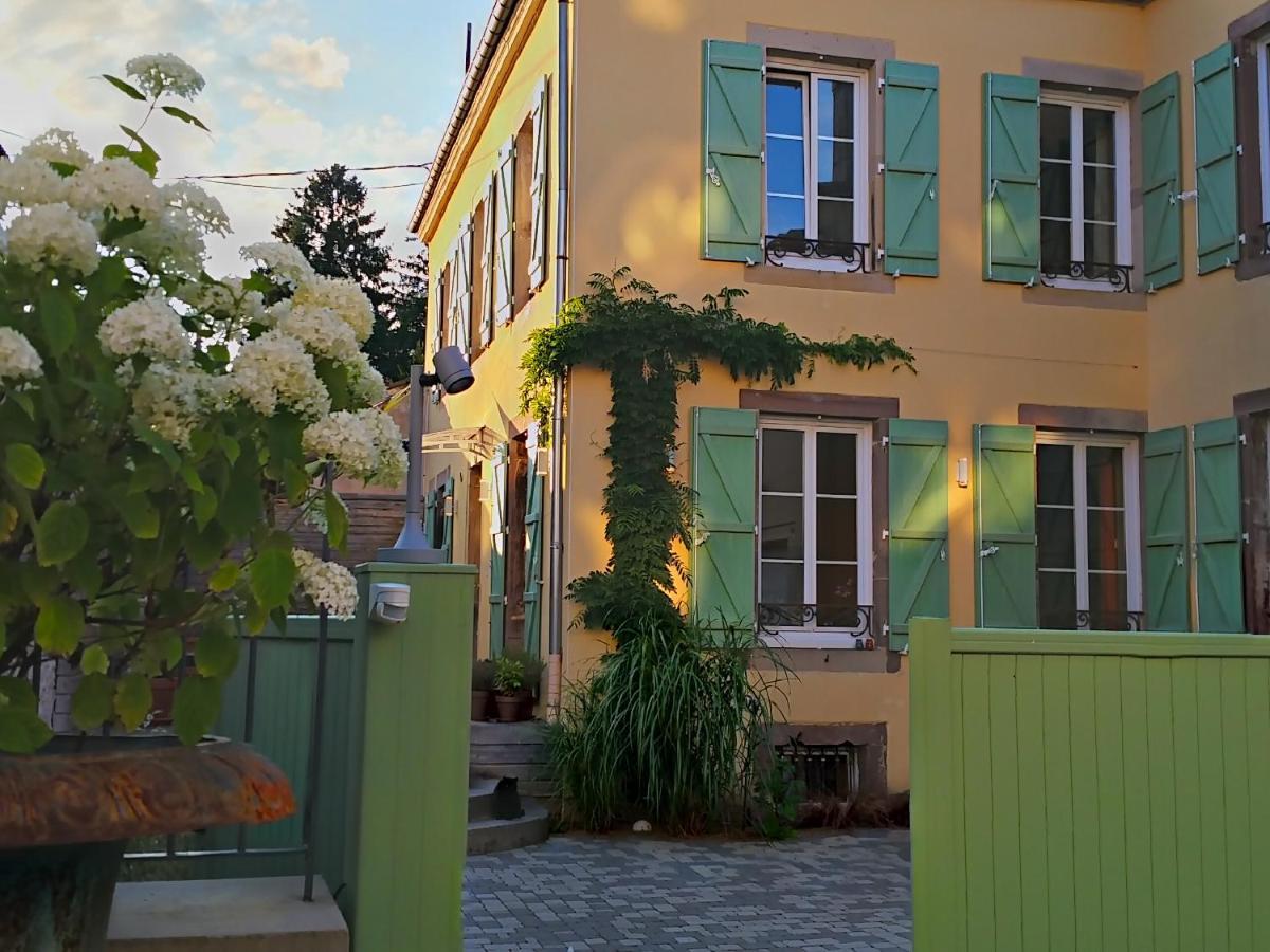 La Chouette Maison - Chambres D'Hotes Et Gite En Ville Remiremont Dış mekan fotoğraf